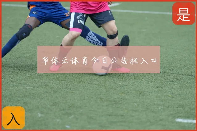 华体云体育今日公告栏入口